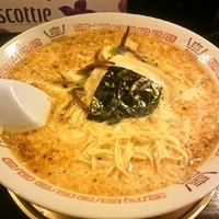 「豚骨塩ラーメン」@初代継承 哲麺 神保町店の写真