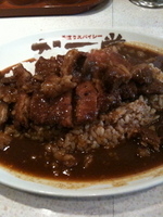 「バッファローチキンカツカレー」@カレー堂 堀江店の写真