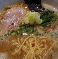 「醤油ラーメン  750円」@RAMEN CiQUEの写真