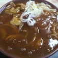 カレーうどん（600円）