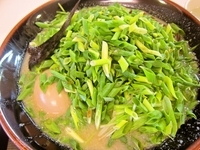 「ねぎ鶏麺、極（７９０円）＋味玉（１００円）」@鶏極の写真