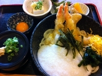 「天ぷらおろしそば（温つけ汁）」@日光うどんの写真