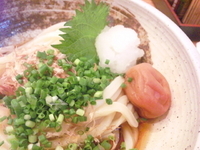 「梅しそぶっかけうどん・冷(並)」@讃岐こんぴらつるつるうどんの写真