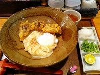 「まいたけ天温玉生じょうゆ」@踊るうどん 梅田店の写真