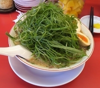 「特製醤油九条ネギ味玉ラーメン（大盛）」@ラーメン魁力屋 草加店の写真