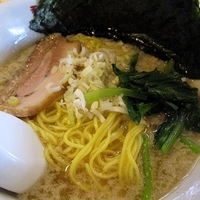 「背脂、魚介の塩ラーメン…680円」@梨の花の写真