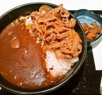 「牛丼カレー(旨辛)480円」@吉野家 16号線若柴店の写真