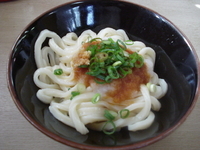 「ぶっかけうどん」@つるやの写真