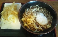 「温とろろうどん+大盛+玉葱天」@ゆでやの写真