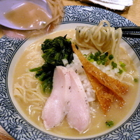 「冷やし鶏白湯麺 600円」@麺屋 一燈の写真