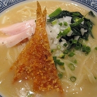 「冷やし鶏白湯麺【限定】　600円」@麺屋 一燈の写真