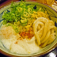 「とろ玉うどん（並）　￥３８０」@丸亀製麺 新宿御苑前店の写真
