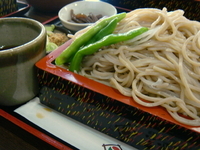 「もりそば」@志なの屋の写真