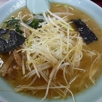 「ネギラーメン」@ラーメンショップ もっちゃんの写真