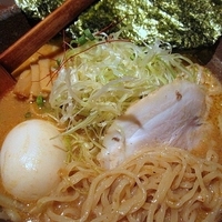 「味噌らーめん+味玉（クーポン）　730円」@麺酒場 でめきんの写真