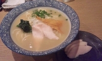 「冷やし鶏白湯麺＋鶏チャーシュー」@麺屋 一燈の写真