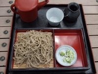 「もりそば大盛り　７００円」@そば処 やまびこ庵の写真