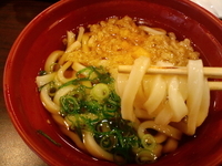 「かけうどん　（103円税込）←平日価格」@くら寿司 八王子インター店の写真