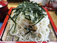 「ざるそば大盛 600円」@マルイチ 神田軒の写真