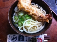 「かけうどん大(ひやあつ)+げそ天」@山内うどん店の写真