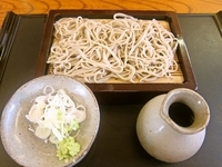 「２色盛り（常陸秋蕎麦＋夏新蕎麦）（７００円）」@和泉庵 わかやの写真