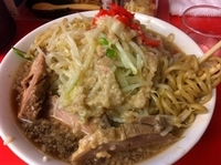 「豚入りラーメン中盛り（野菜増し） 700円」@がってんの写真