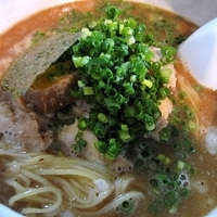 「掛け豚そば　800円」@俺の空の写真