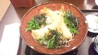 「ぶっかけおろしエビ天そば」@奥藤本店 甲府駅前店の写真