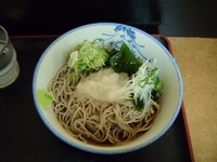 「冷やしおろしそば　３８０円」@峠そばの写真