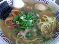 「豚骨醤油ラーメン+味玉」@ハングリードラゴンの写真