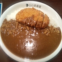 「ロースカツカレー（5辛）　780円」@カレーハウスCoCo壱番屋 JR我孫子駅南口店の写真