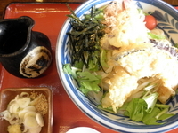 「天ぷらおろしのぶっかけうどん 「860円」」@うどん市 春日部店の写真