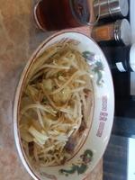 「焼きラーメン麺少な目【700円】」@肉汁らーめん 公 kimiの写真