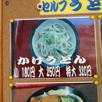 「かけうどん  大400g」@セルフうどん あおきの写真