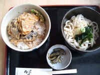 「野菜天丼と半うどんのセット ８００円」@手打ちうどん 笹子の写真
