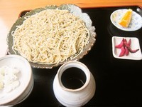 「十割そば（９４５円）」@そば処 楓の写真