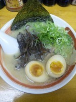 「博多とんこつラーメン（味玉トッピング）」@ラーメン食堂 麺道場 安城店の写真