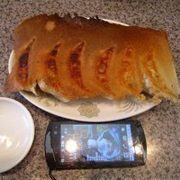 「焼餃子（６個）３５０円」@めんめんの写真