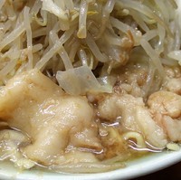「ラーメン（ヤサイ・ニンニク・生姜ダレ）￥750」@ラーメン富士丸 板橋南町店の写真