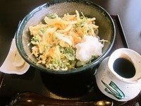 「野菜かき揚げ天ぶっかけ(950円)」@蕎麦花の写真