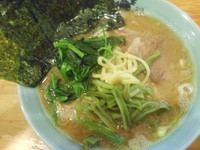 「ラーメン（麺硬め）＋山くらげ」@洞くつ家の写真
