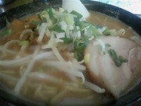 「味噌豚骨ラーメン　850円」@ハングリードラゴンの写真