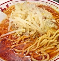 「北極ラーメン+背脂(800円+60円)」@蒙古タンメン 中本 本店の写真