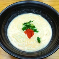 「明太子クリームのおうどん（￥1,300）」@北新地本通り つるとんたん 琴しょう楼の写真