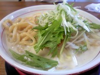 「どろ塩ラーメン 750円 (麺極太変更で +100円)」@吉祥寺先陣 つけ麺 まんぞうの写真