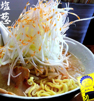 「塩葱【中麺・メンカタ・アブラ少な目】（900円）」@背脂ラーメン きくちゃんの写真