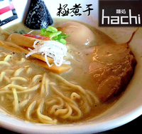 「極煮干し＋味玉（850円）」@麺処 hachiの写真