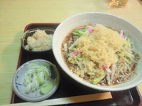 「冷やしたぬきそば(大盛り)　630円」@生そば 大むらの写真