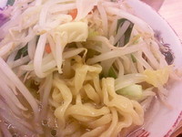 「タンメン+無料ライス」@タンメンしゃきしゃきの写真