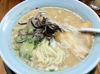 「若塩とんこつ(あっさり目)(ハリガネ)」@門真 天神旗の写真